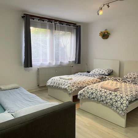 Duesseldorf Messe, 2-Bedroom Duplex Apartment With Terrace And Garden Kültér fotó